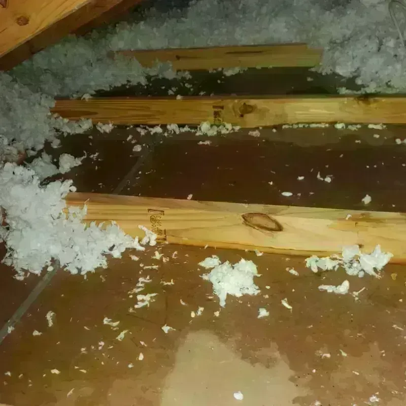 Attic Water Damage in Frontenac, KS